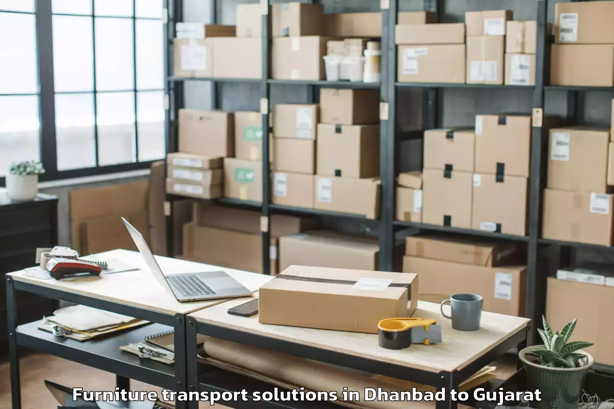 Top Dhanbad to Chuda Furniture Transport Solutions Available